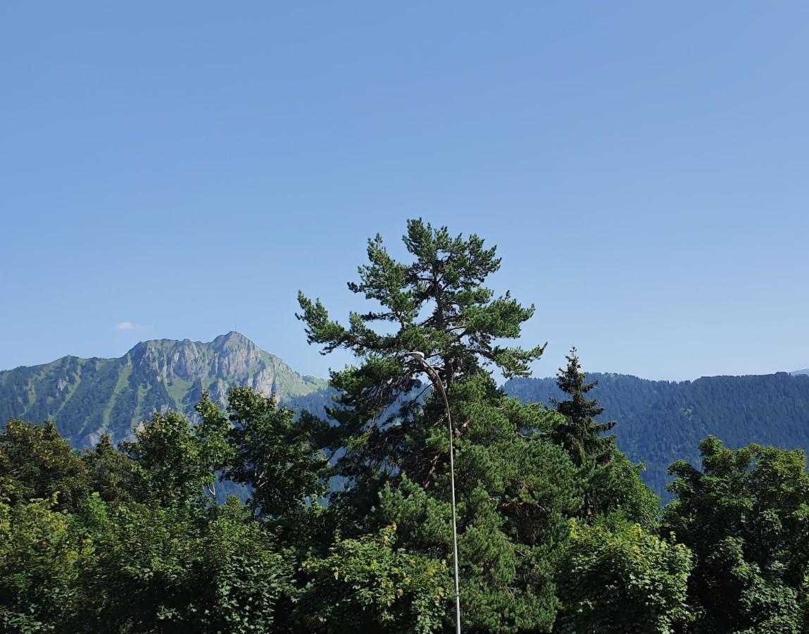 Apartmán Nerine Leysin Exteriér fotografie